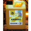 Atraktor wędkarski Booster Ananas GigaBait.pl